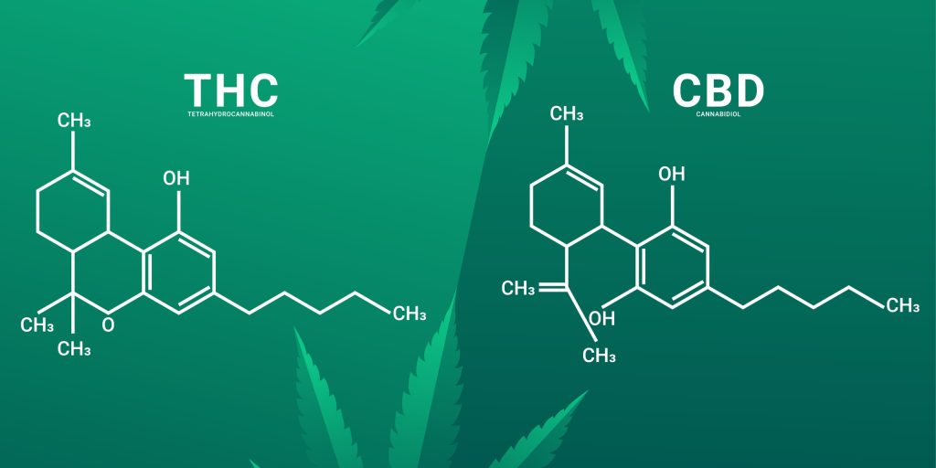 Cannabis gegen Krankheiten: Formel von ZHC und CBD.