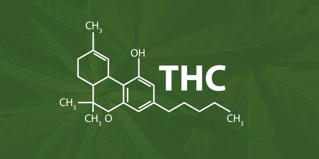 Cannabis gegen Krankheiten: THC.